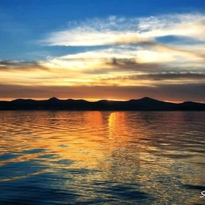 Meet your Posher, Suzanne